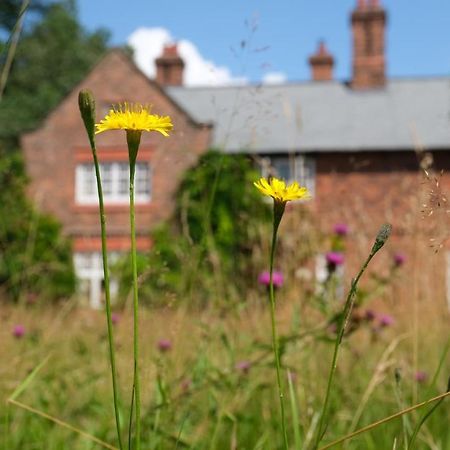 Beech Hill B&B Weaverham Exteriör bild