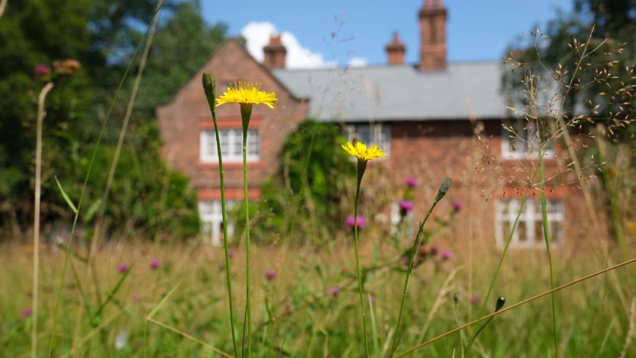 Beech Hill B&B Weaverham Exteriör bild