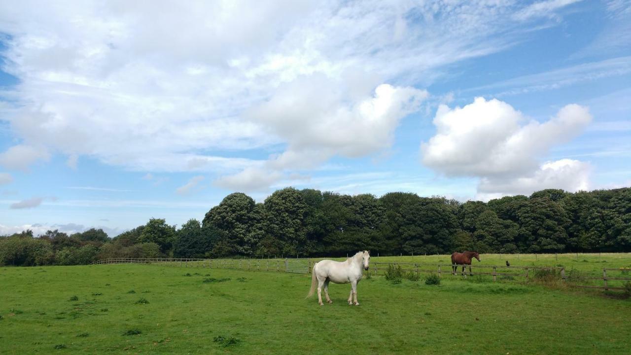 Beech Hill B&B Weaverham Exteriör bild